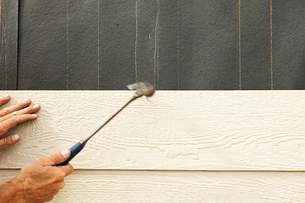 Best Custom Siding Design  in Glen Ellen, CA